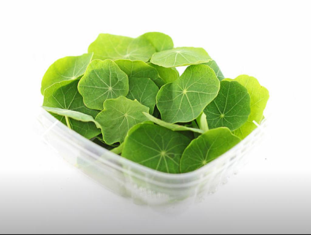 Hojitas Baby Capuchina x 50 unidades